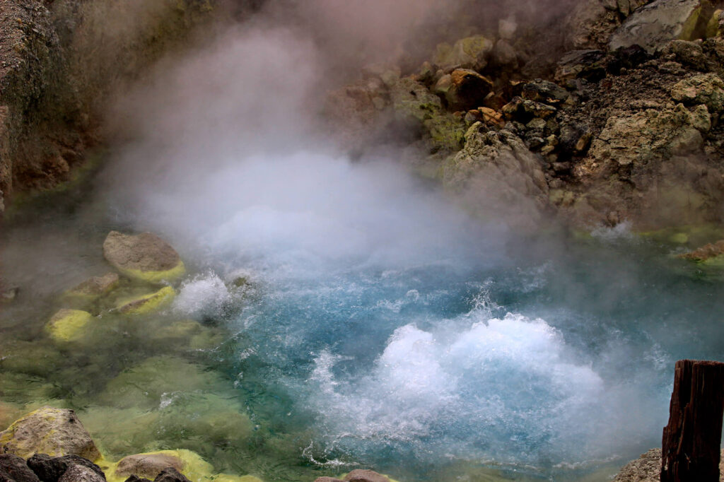 ホルミシス効果とは