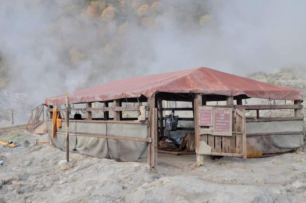 ホルミシス効果と放射線の関係 | リスクと安全性について解説