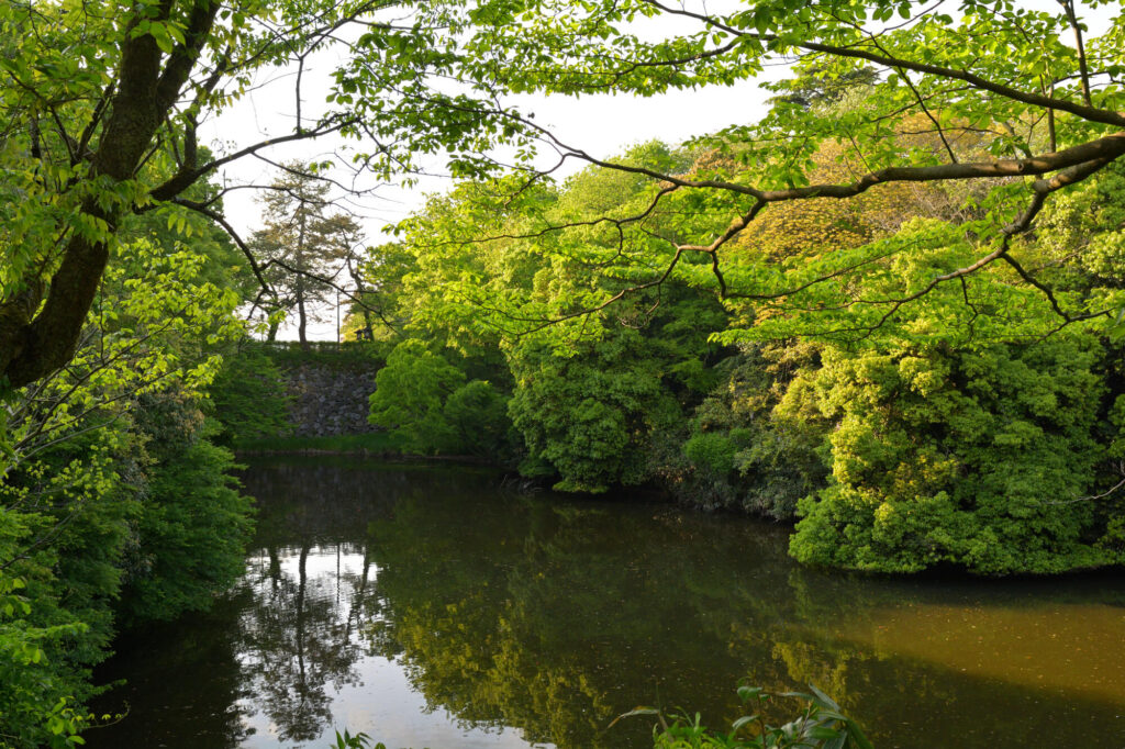 【名湯厳選】東北で人気のラドン温泉・ラジウム温泉おすすめ4選